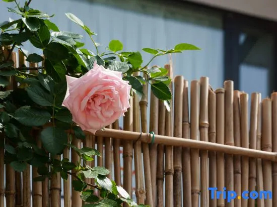 ZhiCi Dianshan Lake · Xiangjing Courtyard · Living Beauty Smart Space Homestay