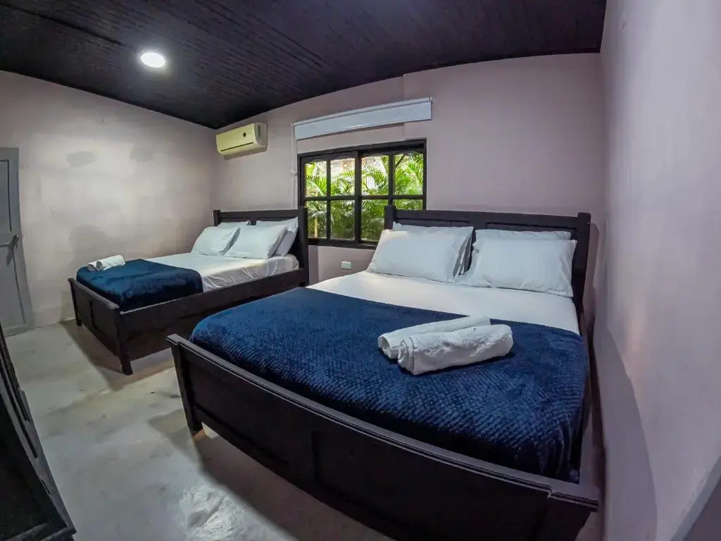 Superior Double room (twin beds)
