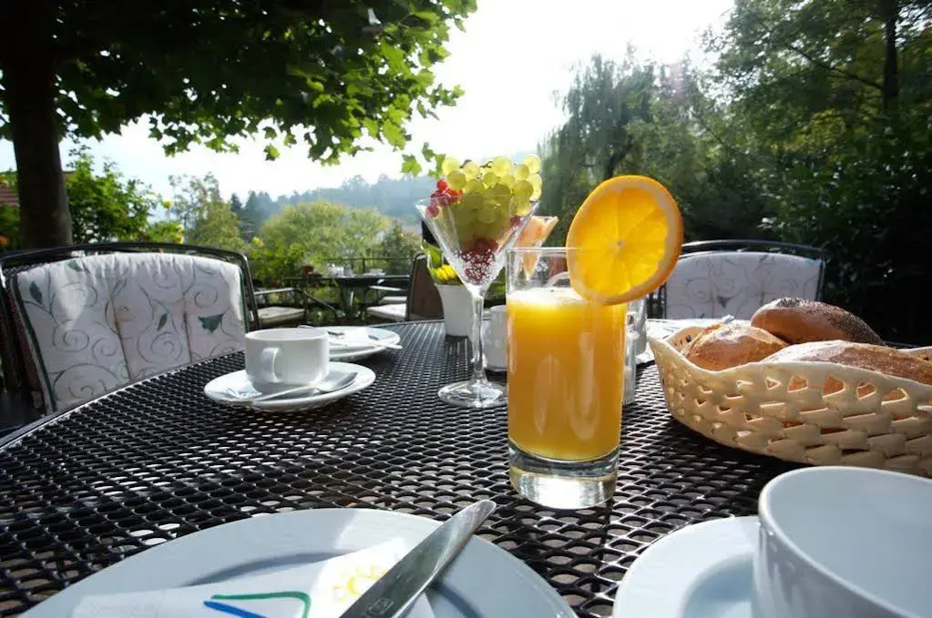 Hotel Morgensonne - Général