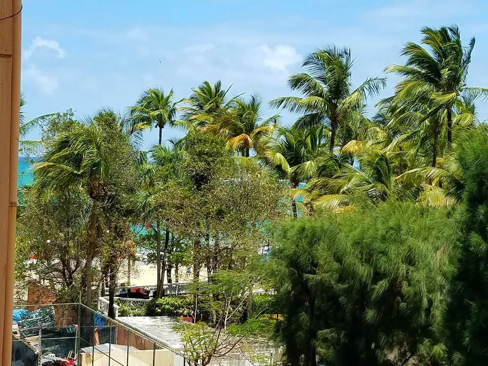 Beachfront Coral Beach Condo 305