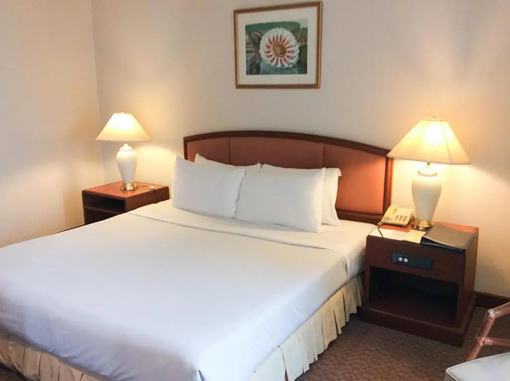 Deluxe Double room (full double bed)