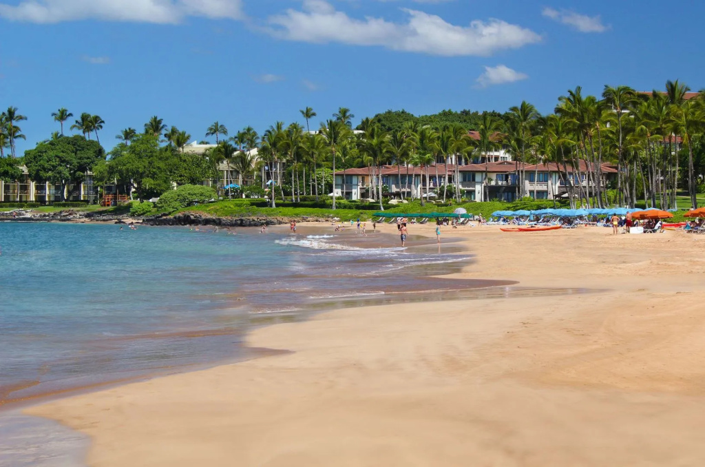 Beach & Waterfront