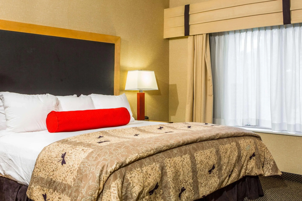 Cambria Hotel Raleigh - Durham Airport - Général