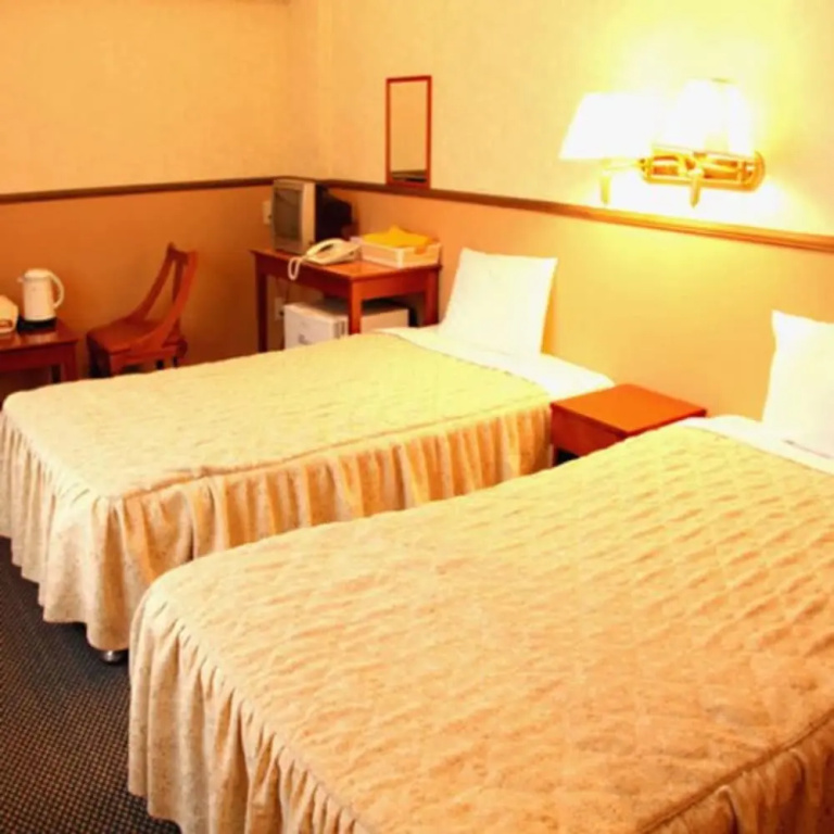 Standard Double room (twin beds)