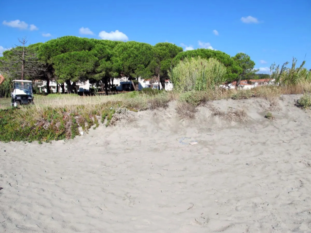 Beach & Waterfront