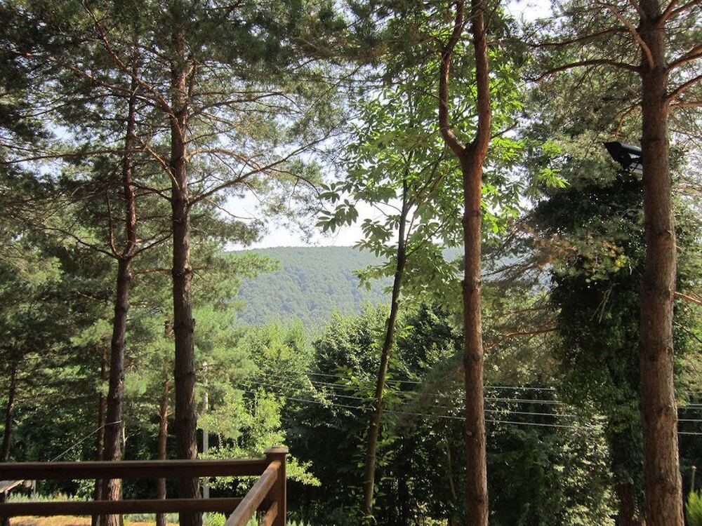 Image 12