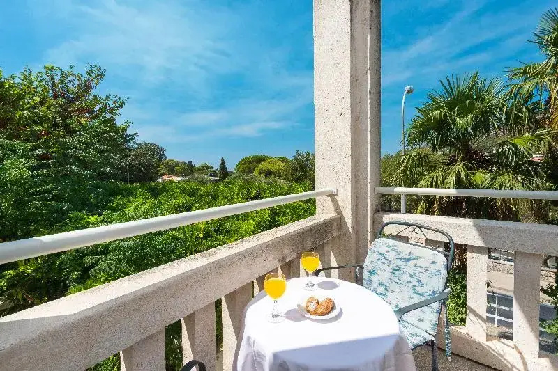 Standard Double room with balcony and with park view (full double bed)