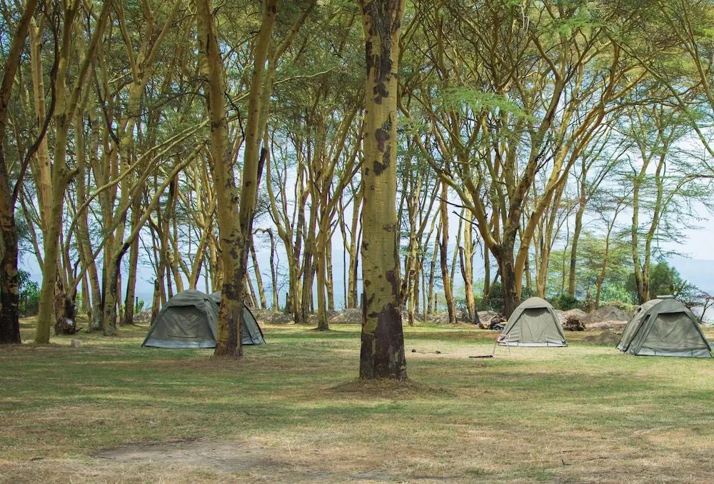 Burchs Resort Naivasha - Général