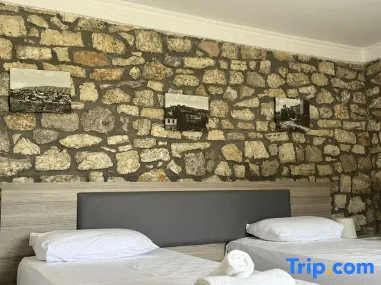 Standard Double room with balcony (twin beds)