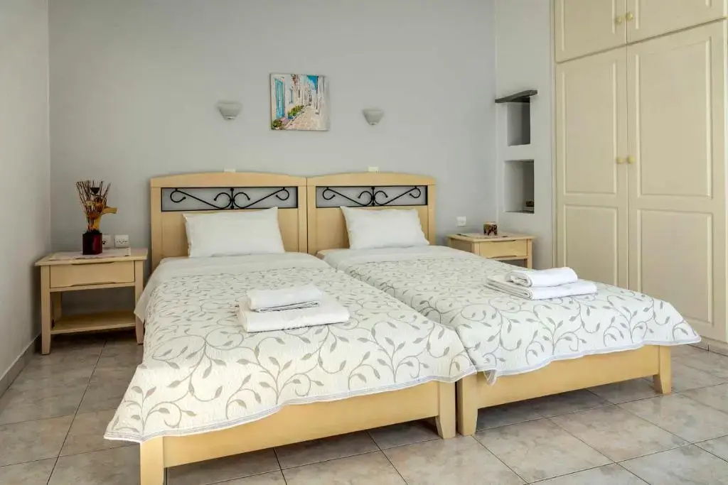Standard Double room with city view (twin beds)