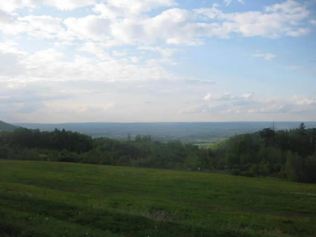 Image 14