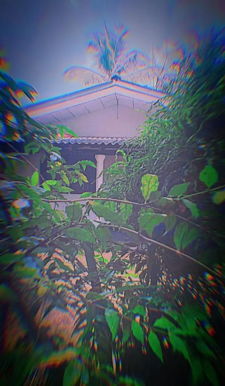 Sinharaja Green Villa