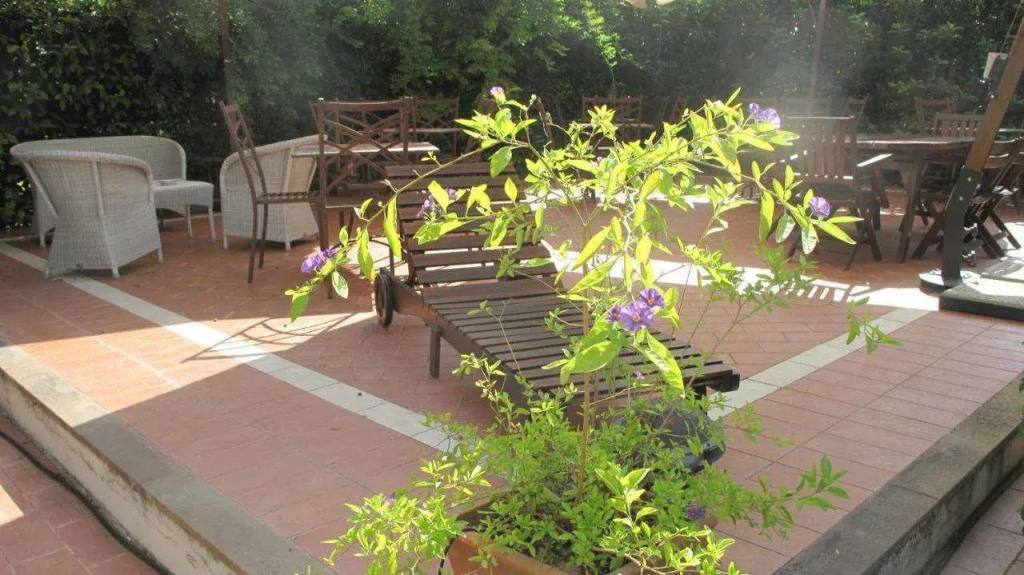 Agriturismo Podere Turicchio - Général