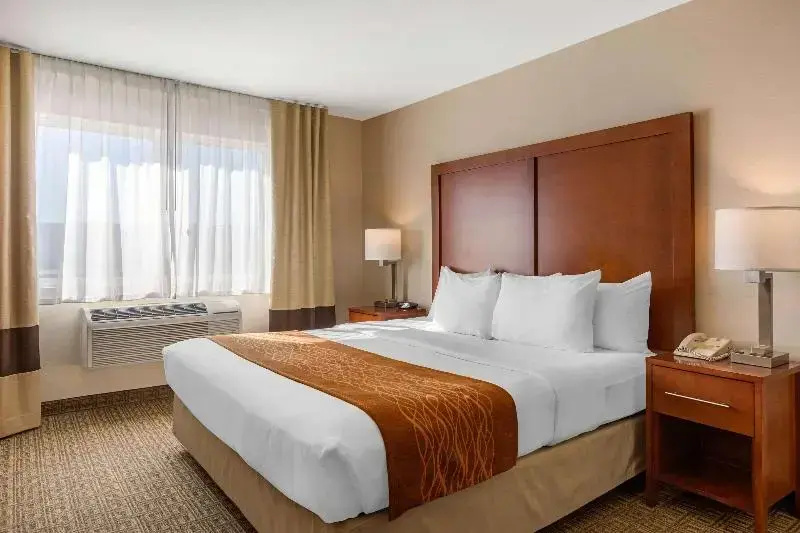 Comfort Inn & Suites Murrieta Temecula Wine Country - Chambres
