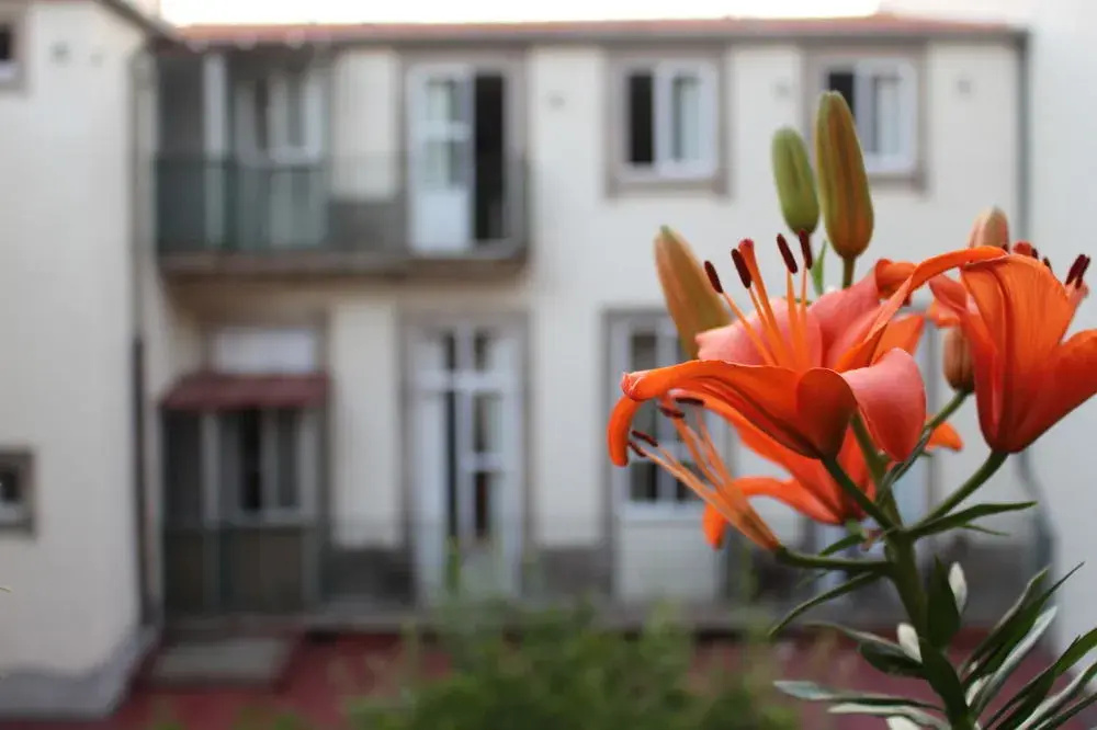 Hotel Guest House Solar
