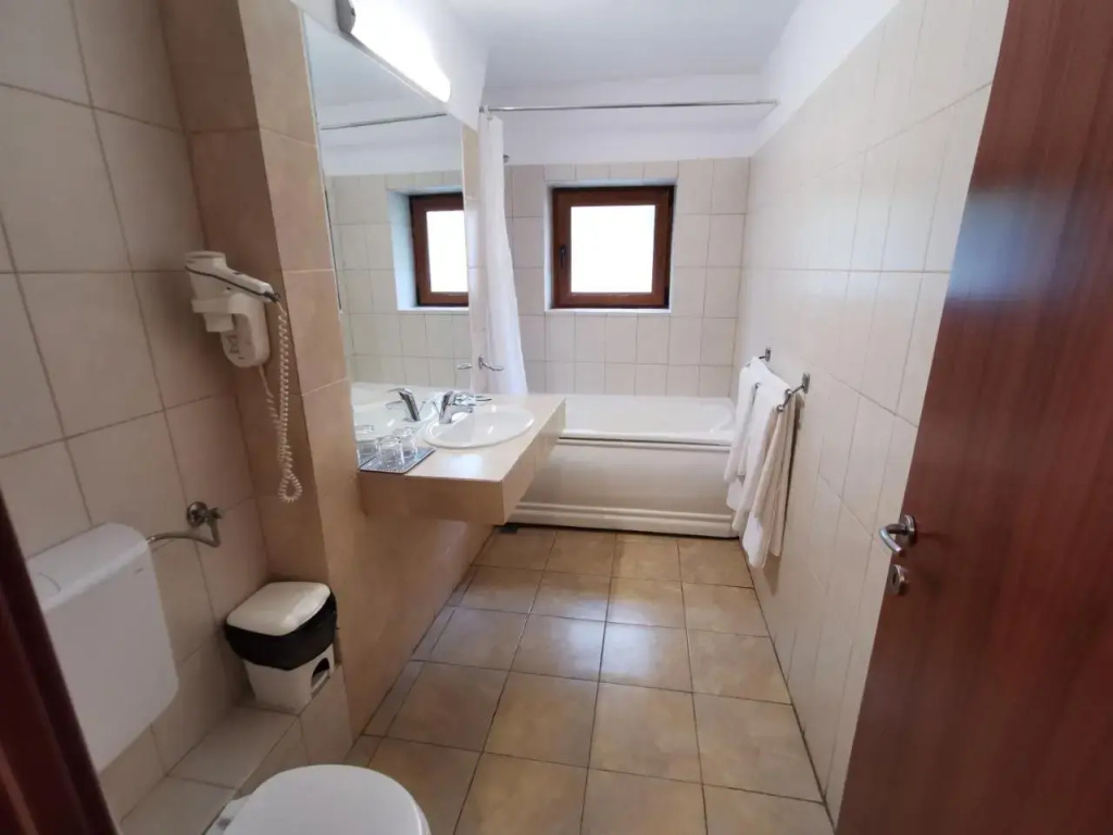 Hotel Timisoara Sannicolau Mare - Général