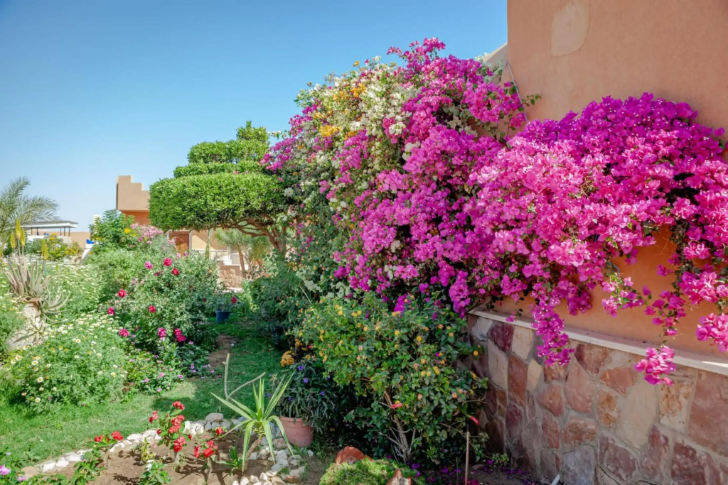 Silver Beach Boutique Hotel - фото 21