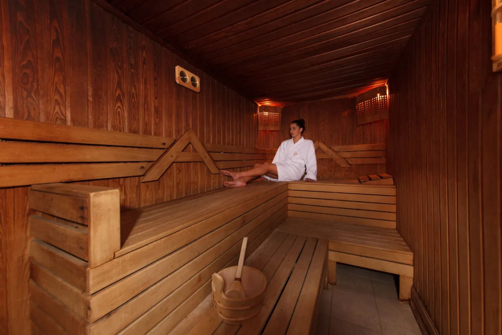 Azalia Hotel Balneo & SPA - Général