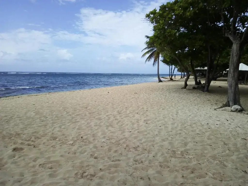 Beach & Waterfront
