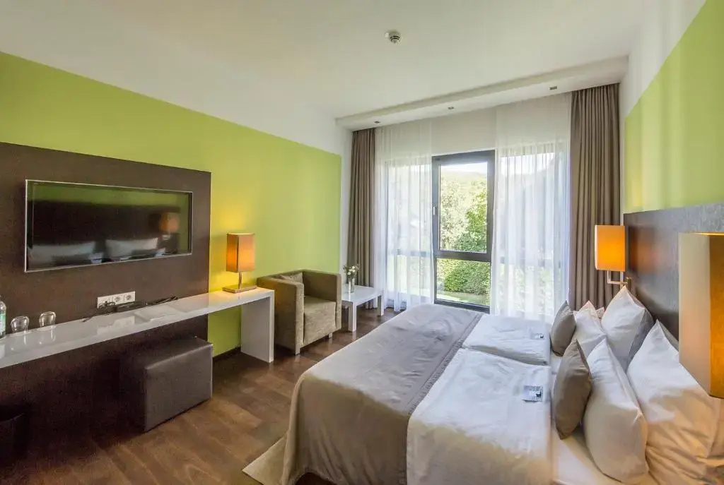 Standard Double room (full double bed)