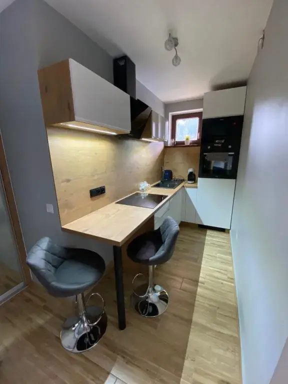 Apartament Artemida Kletno