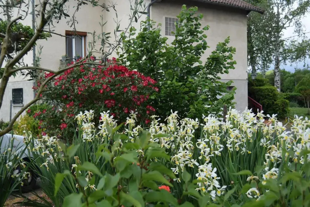 Voir la photo 3 — Le Nid de l'Ecureuil