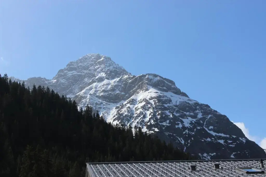 Alpenhotel Widderstein - Chambres