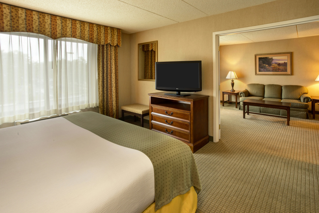 Holiday Inn & Suites Ann Arbor Univ Michigan Area by IHG - Général