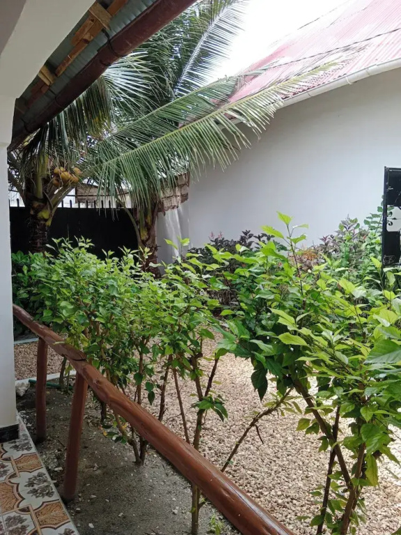 Fish 2 Nungwi House