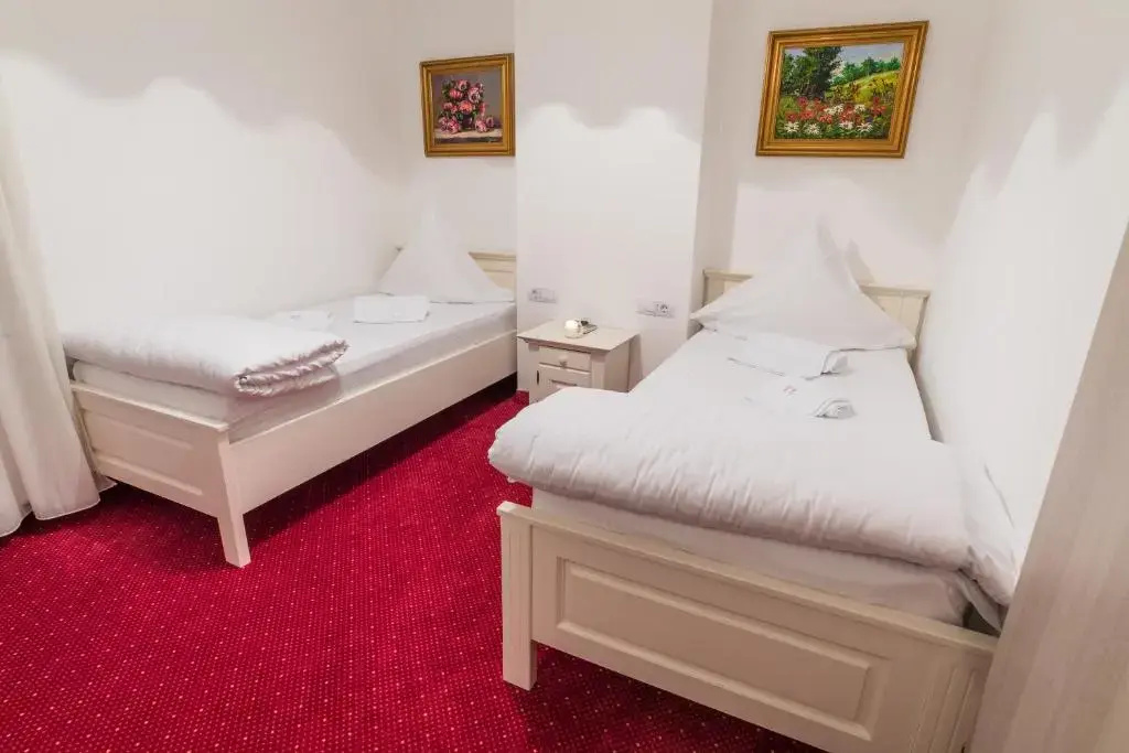 Standard Double room (twin beds)