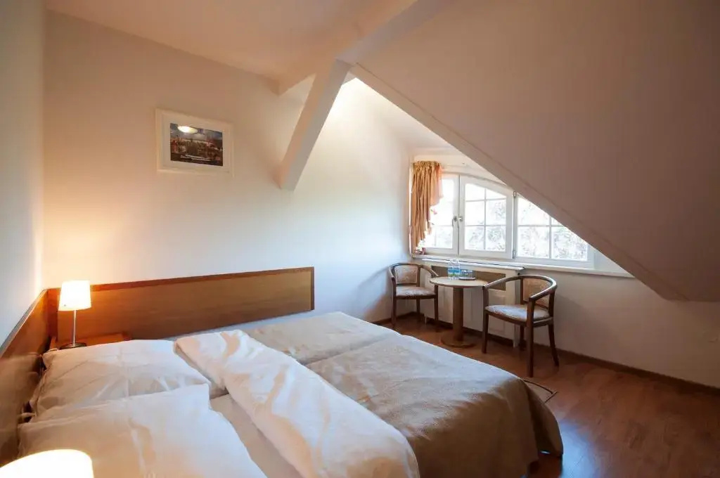 Standard Double room (full double bed)