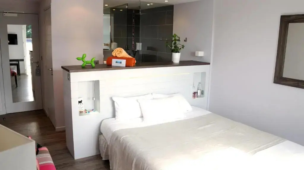 Standard Double room (full double bed)