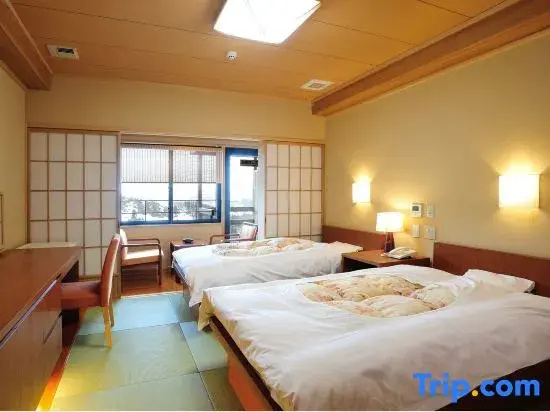 Standard Double room with mountain view (twin beds)