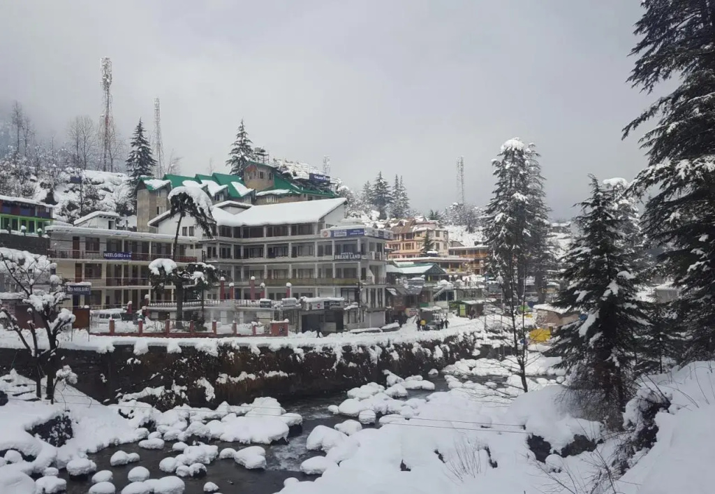 Hotel Dreamland Riverside (Old Manali)