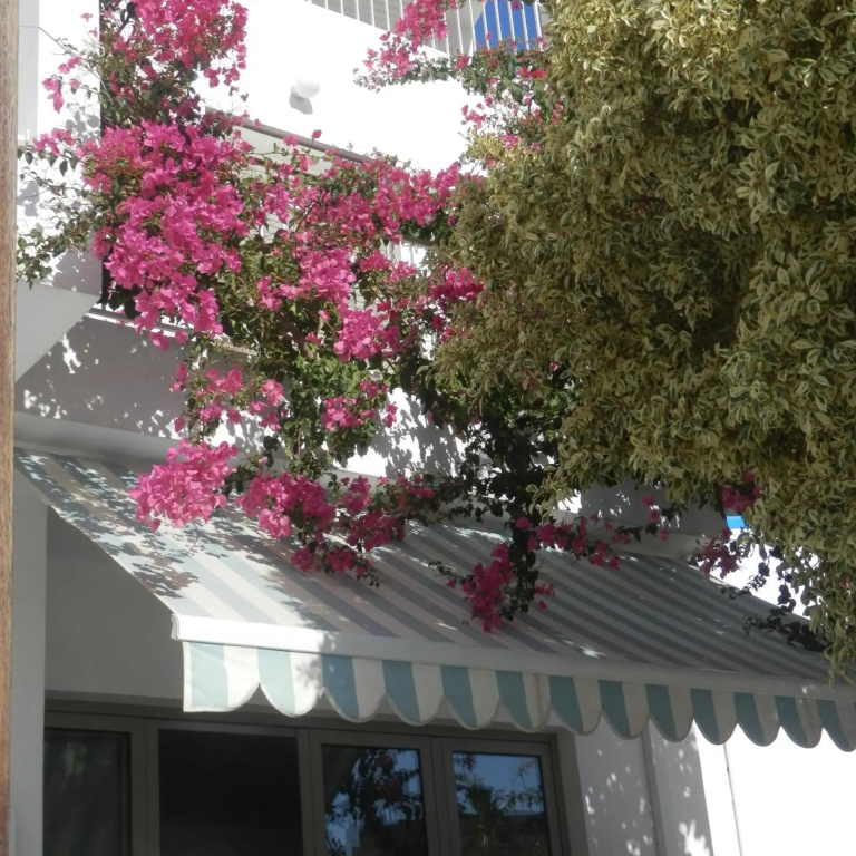 Hotel photo 37
