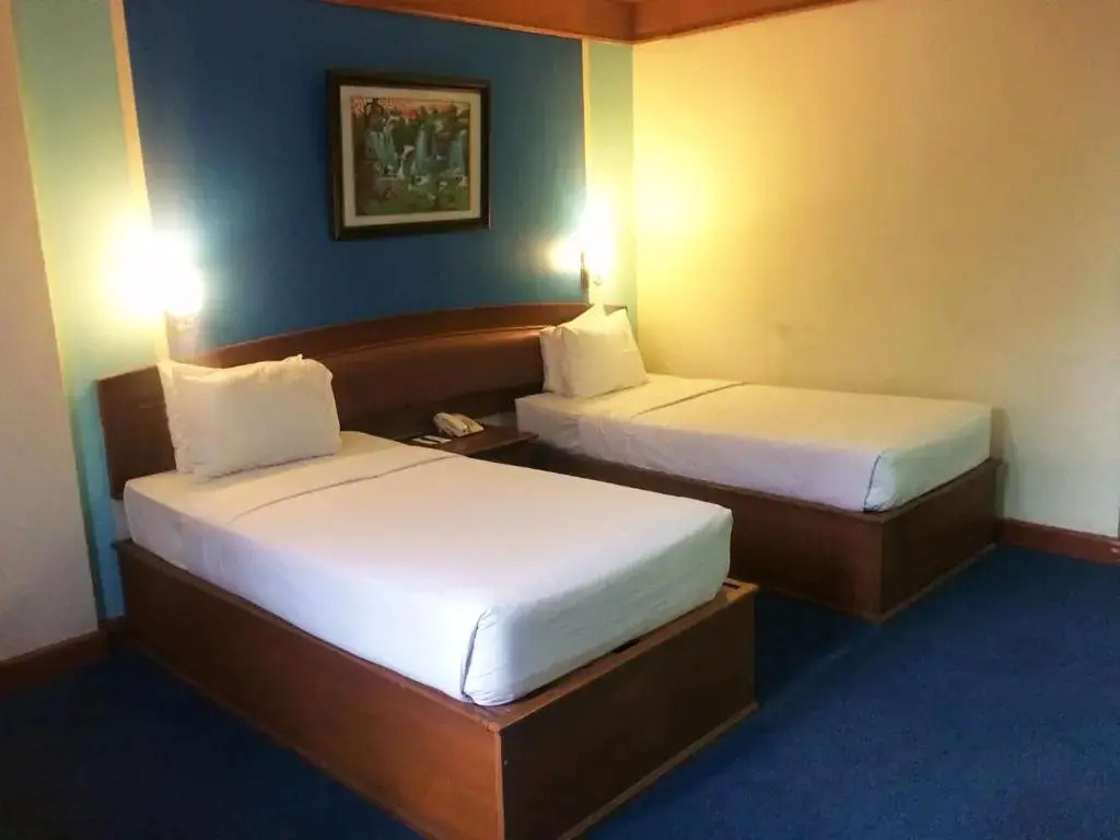 Superior Double room (twin beds)