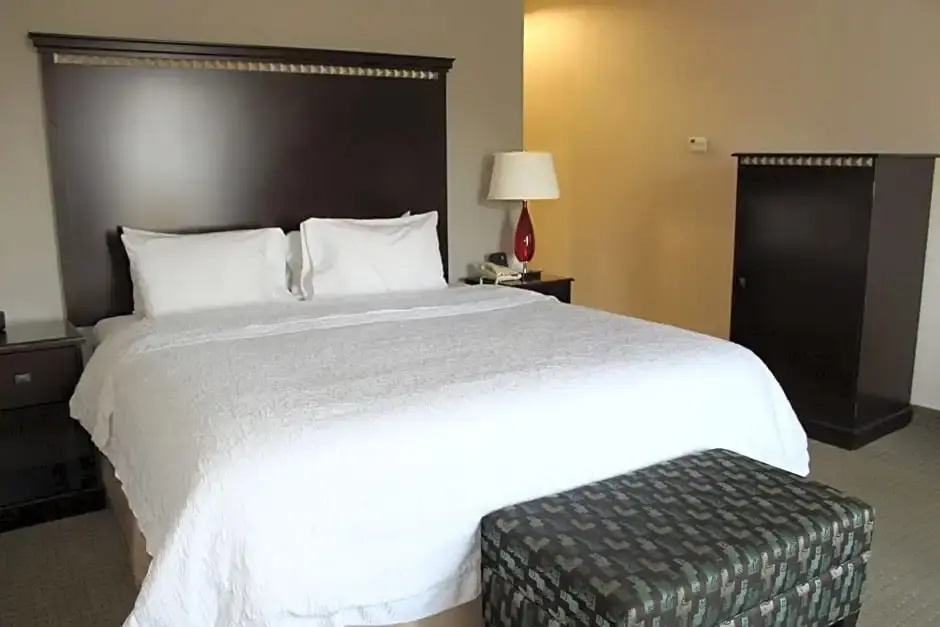 Hampton Inn & Suites Mount Pleasant - Chambres
