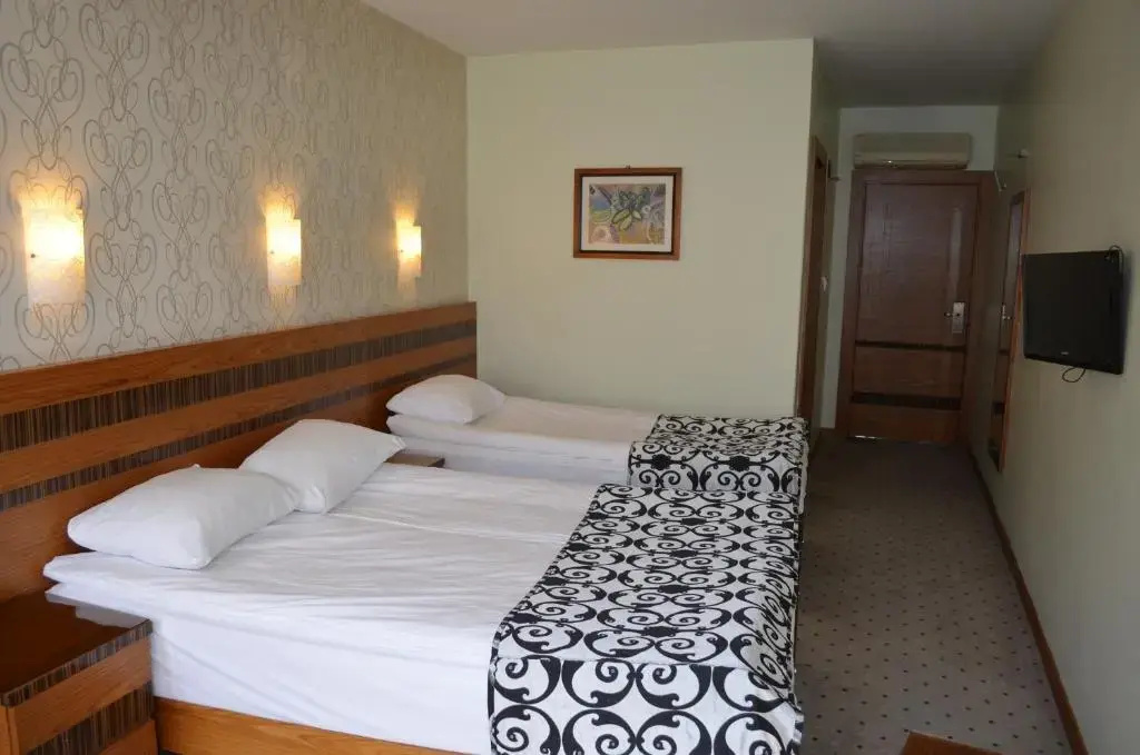 Classic Triple room