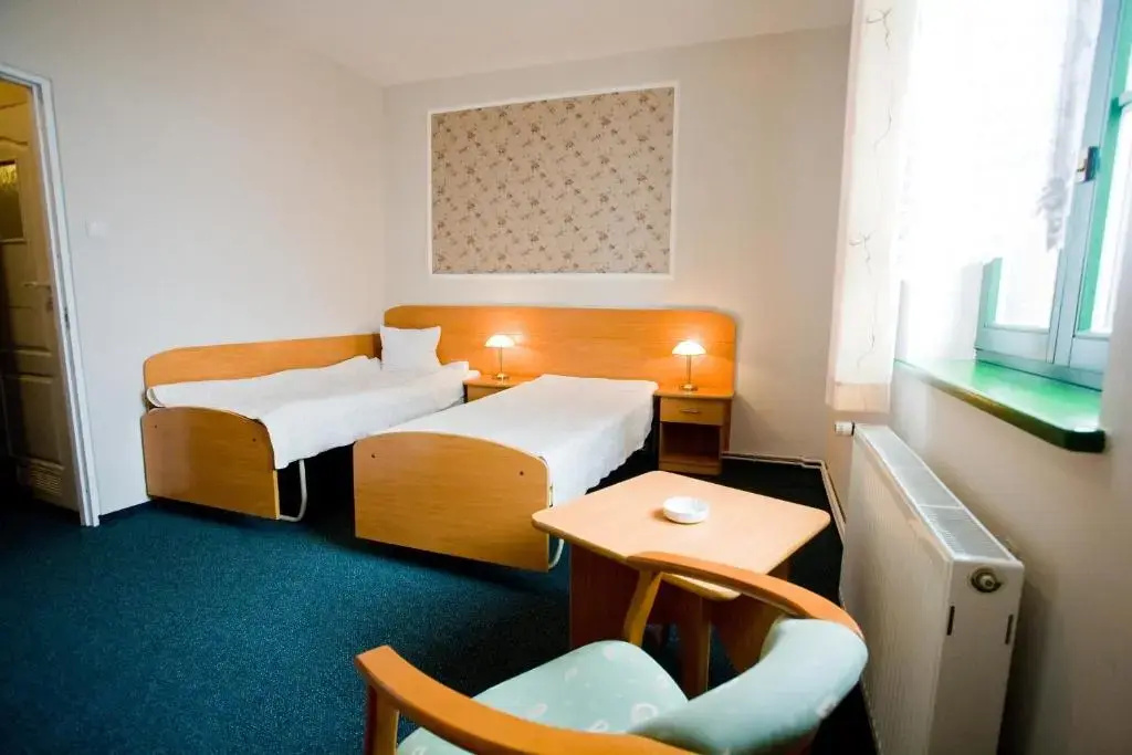 Hotel Maly Mlyn - Chambres