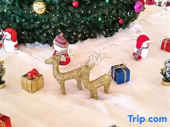 Family & Kids