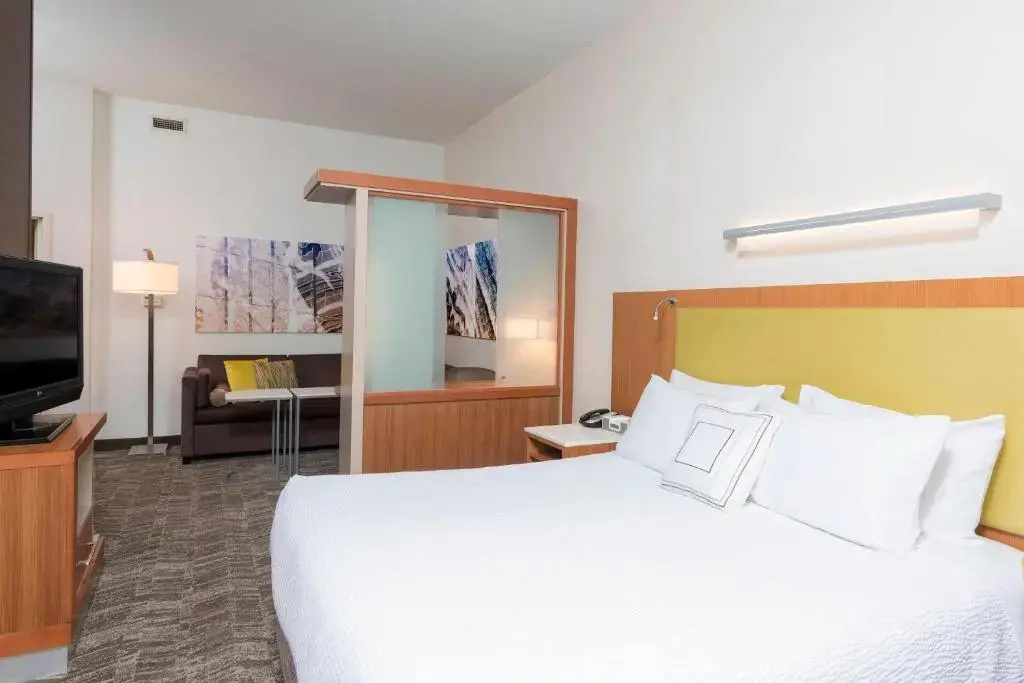 SpringHill Suites Detroit Auburn Hills - Chambres