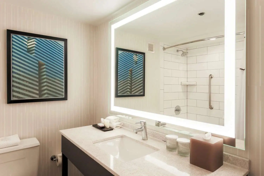 Embassy Suites by Hilton Dallas Love Field - Général