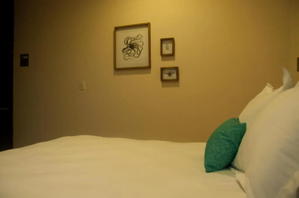 SHAVANNA Hotel Boutique - Chambres