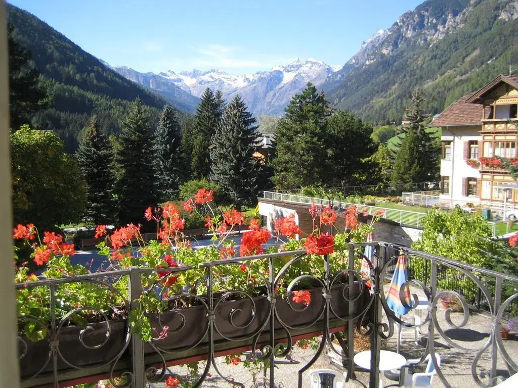 Hotel Schuster - 2