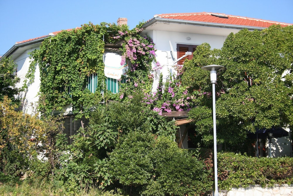 Apartment Petar
