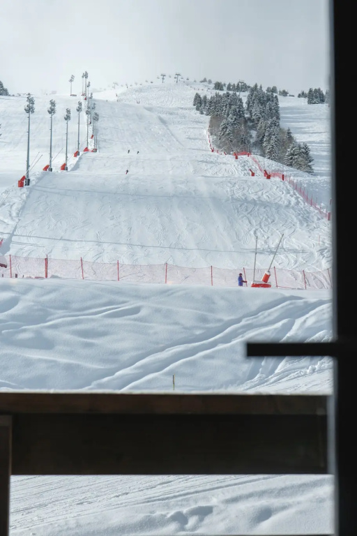 Les Trois Vallées - Général