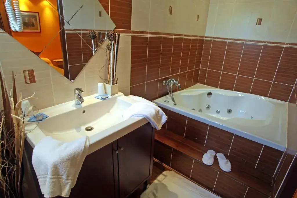 Standard Double room (full double bed)
