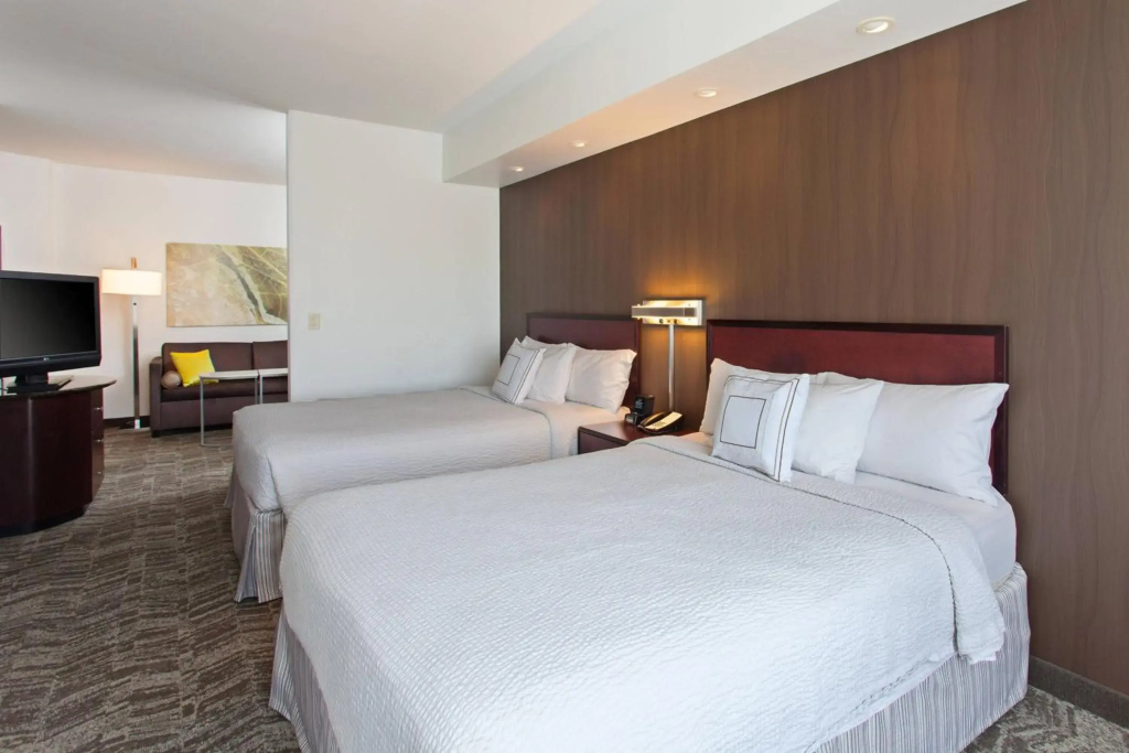 SpringHill Suites by Marriott El Paso - Général