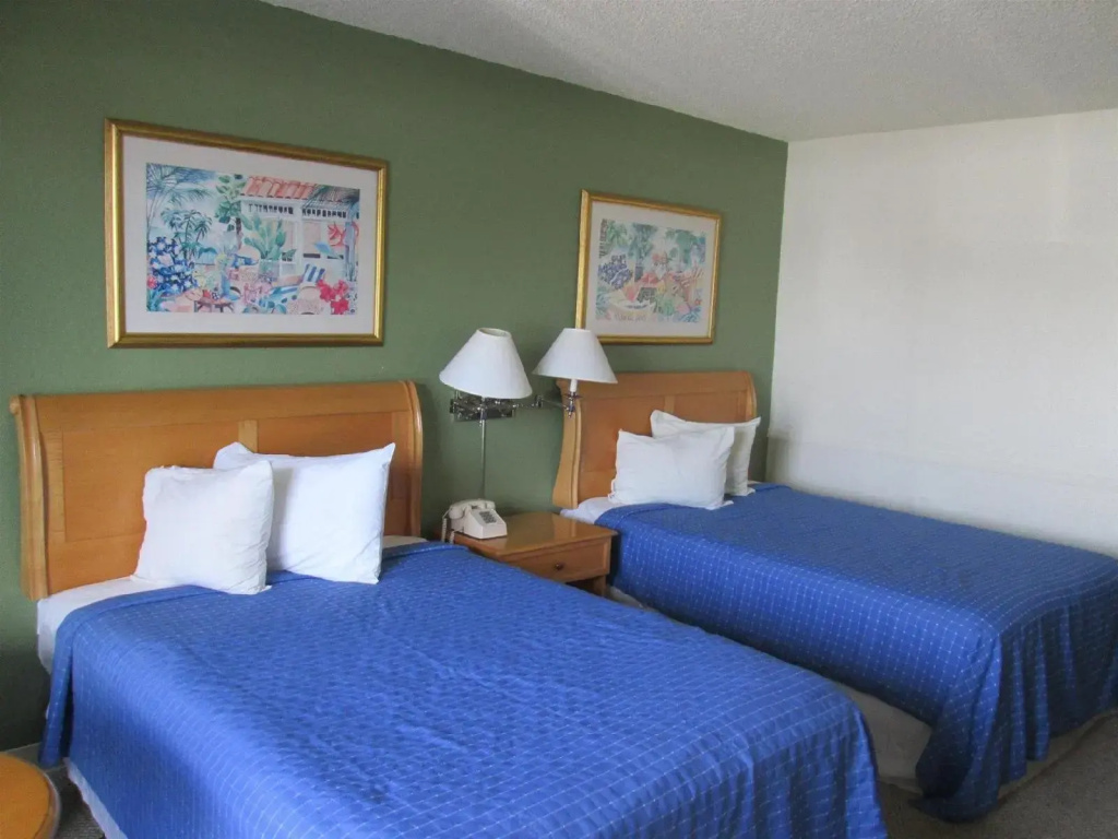 The Flamingo Resort - Adult Resort - Général