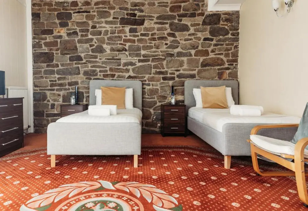 Standard Double Basement room (twin beds)